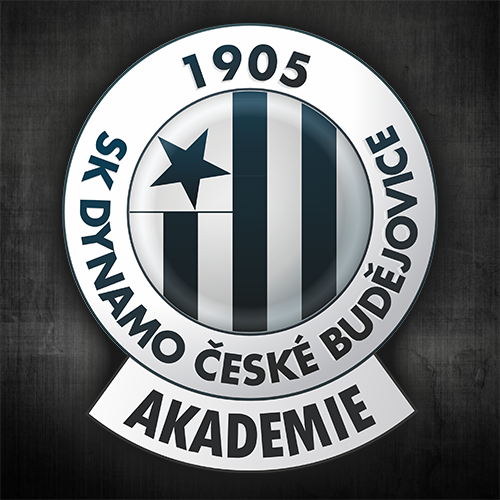 SK Dynamo České Budějovice AKADEMIE